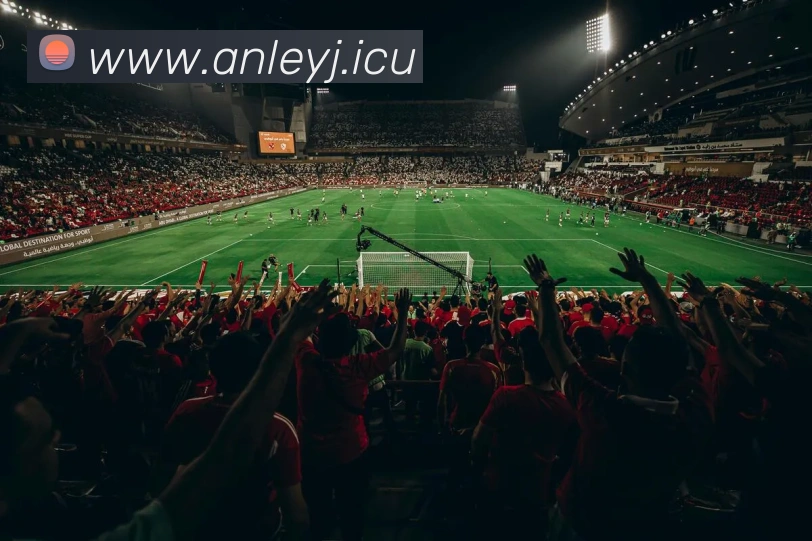 mk体育在线APP 封面图